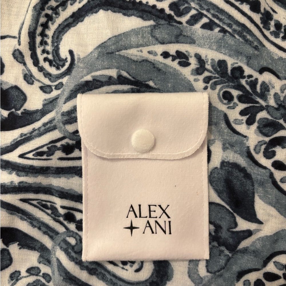 Alex and Ani White Pouch